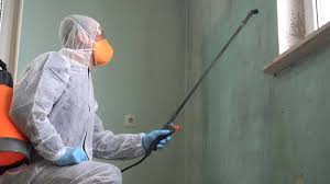 Best Commercial Mold Inspection  in The Dalles, OR