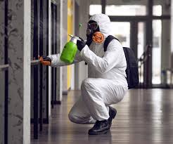 Best Asbestos and Lead Testing During Mold Inspection  in The Dalles, OR